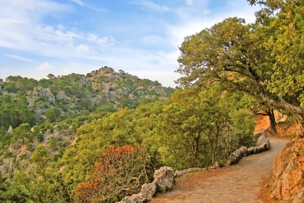 Serra de Tramuntana, Majorca