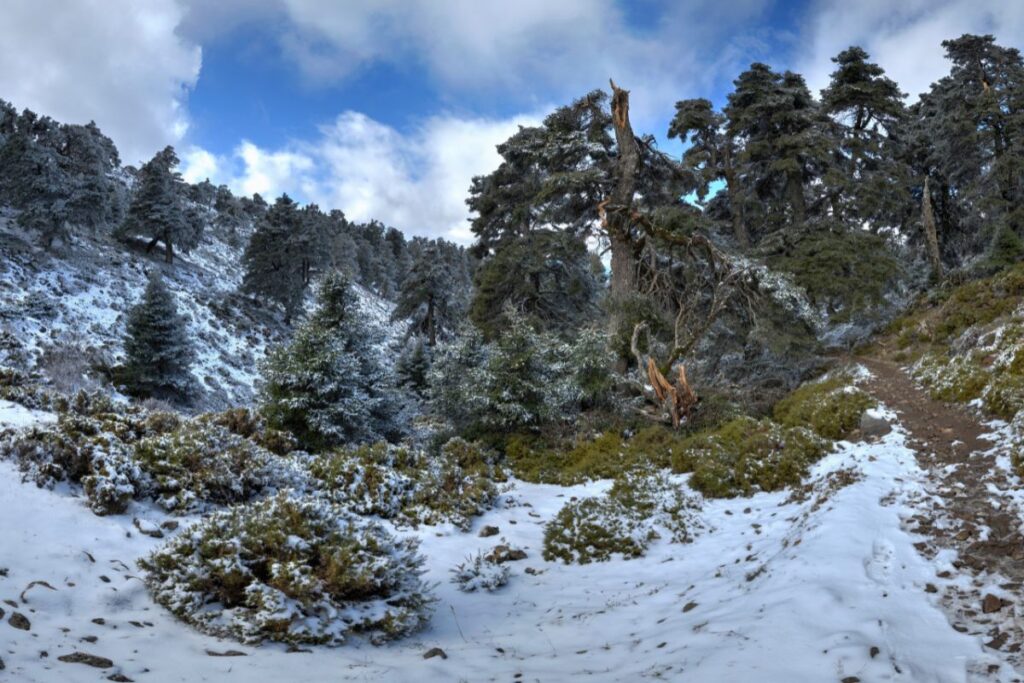 Sierra de Las Nieves, Málaga, Spain