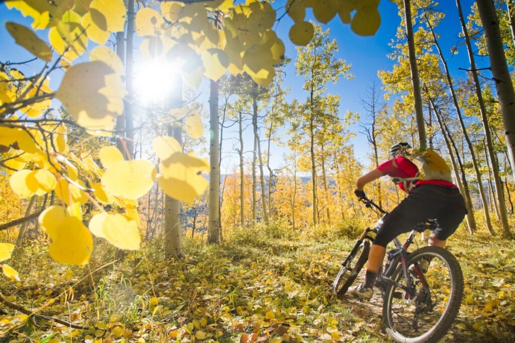 mountain bike socks