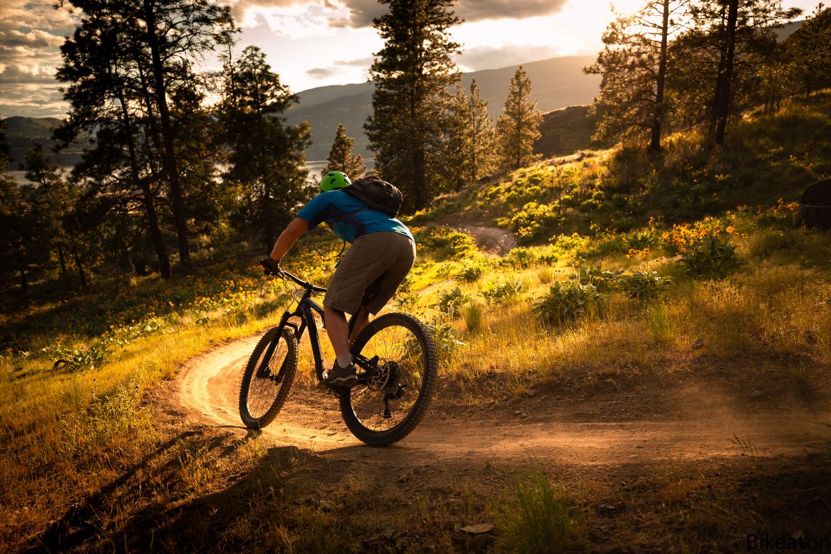 Why Are Mountain Bikes So Expensive